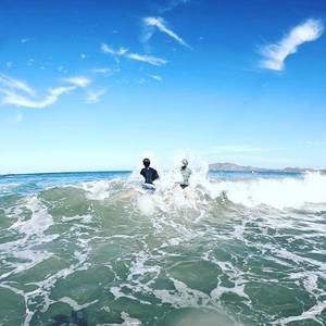 Meet your Posher, Annie